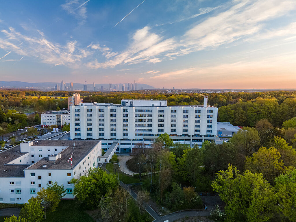 Bild zu Asklepios Verbund Rhein-Main